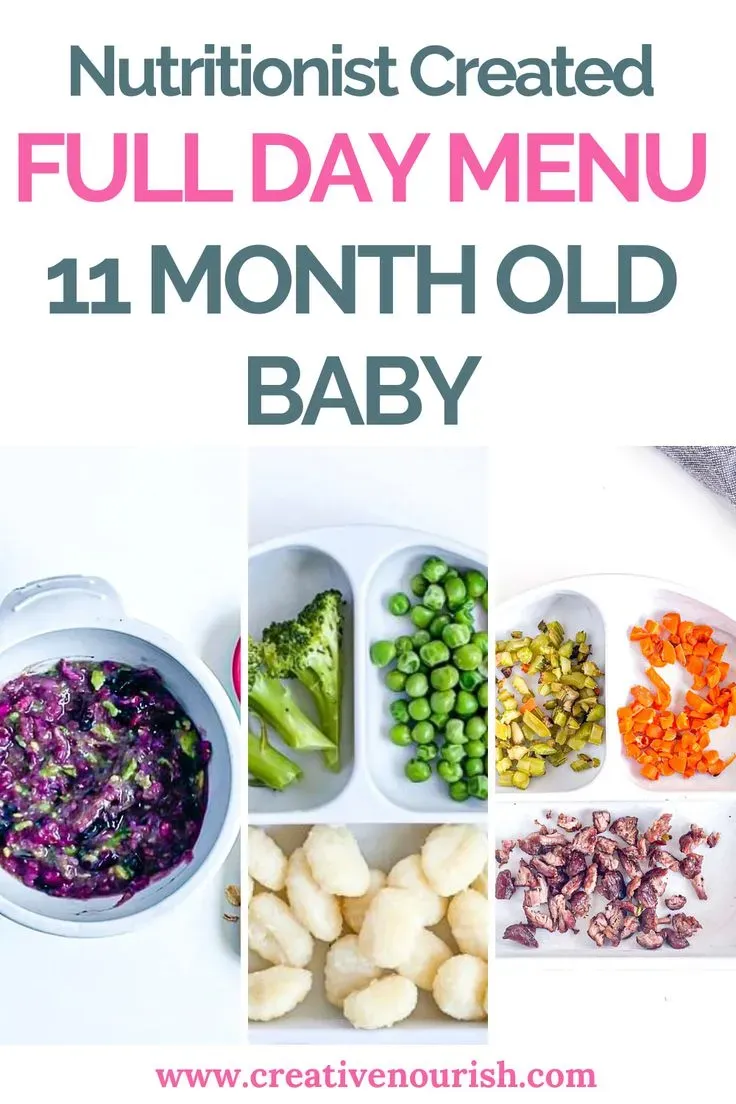 Simple healthy meals 11 month old: Easy Recipes