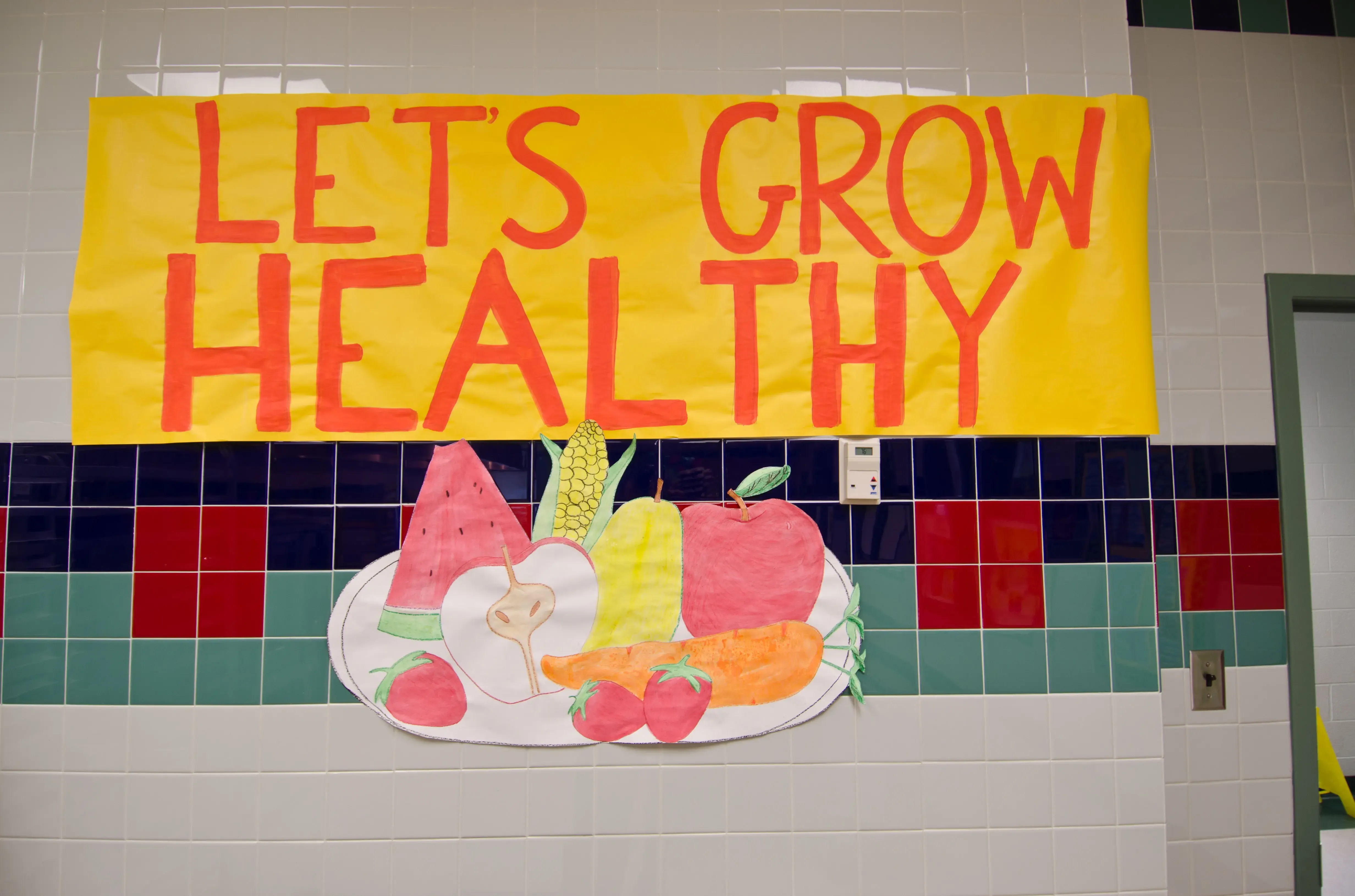 Navigating Your Options with Healthy Meal 2 U