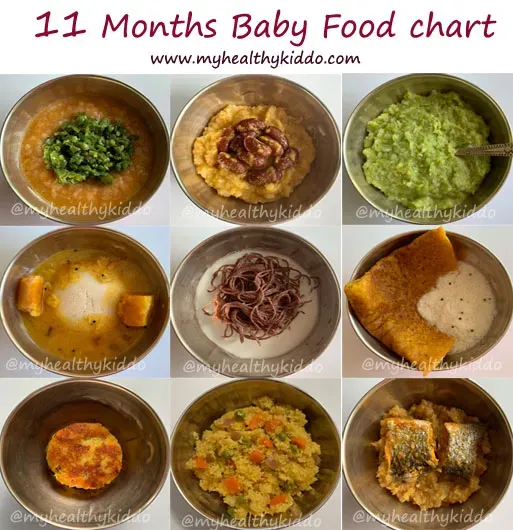 Nutritional Needs for Your Growing 11MonthOld