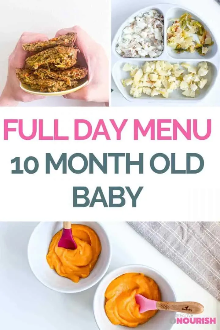 What Can Your 10MonthOld Actually Eat?