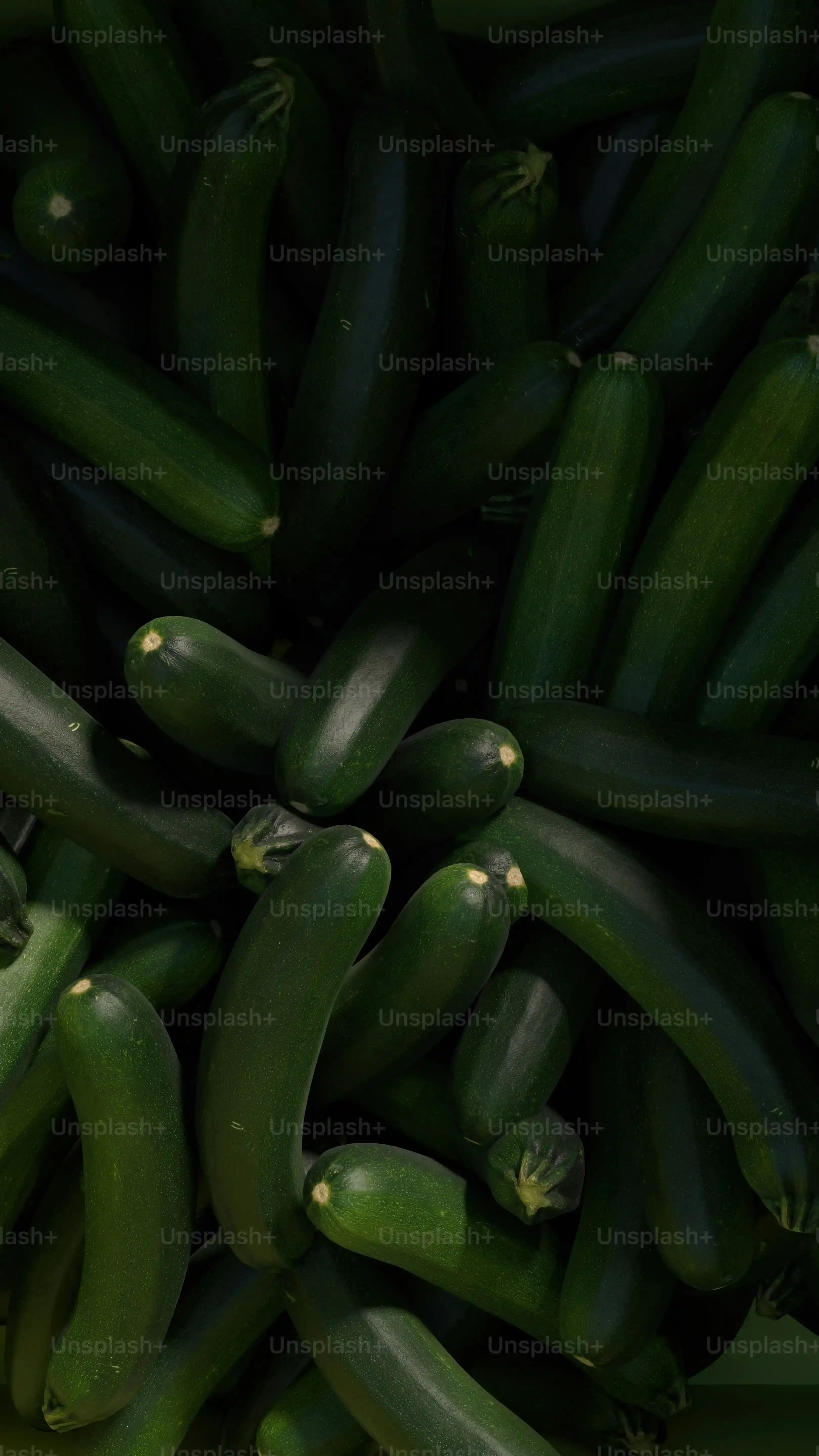 Zucchini Dinners: Sides and Meatless Mains